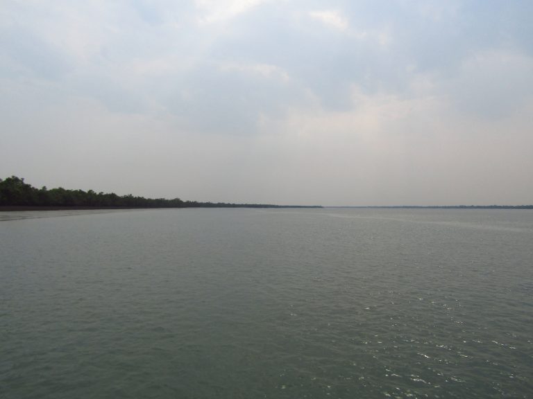 A boat on a mangrove creek en route to Sundarban from Kolkata